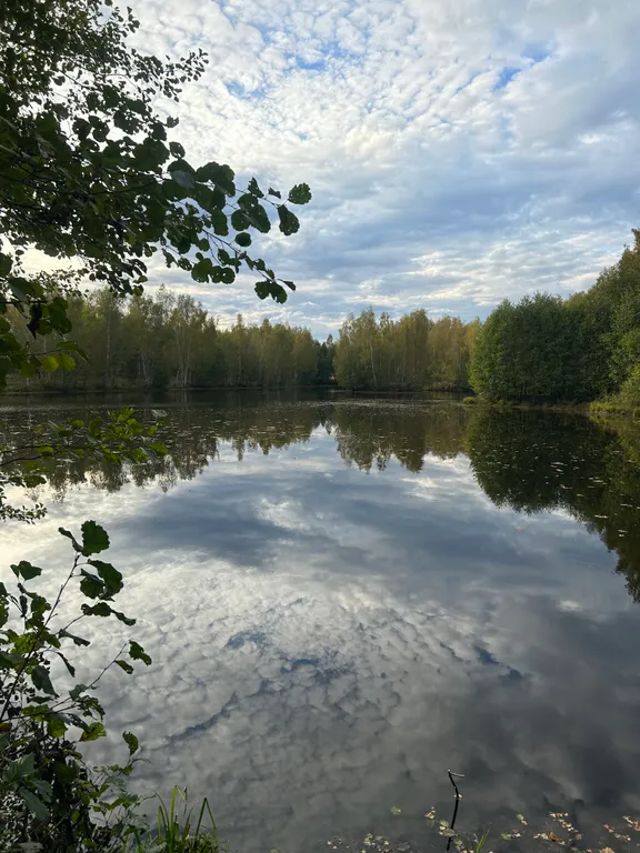 Новый дом в тихом месте