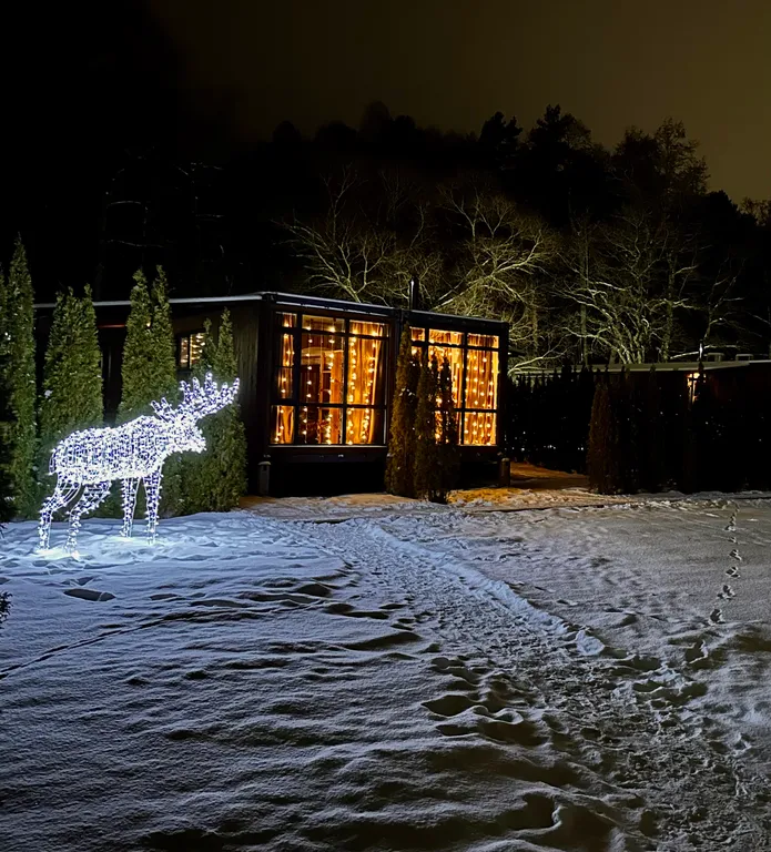 Уютный дом-лофт с видом на лес и реку