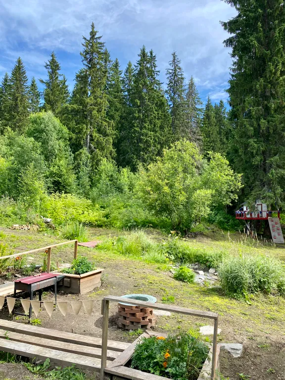 Уютная лесная дача в экологически чистом месте северного приладожья