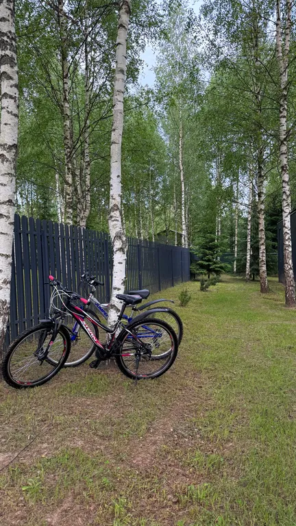 Барнхаус с панорамными окнами Campbin