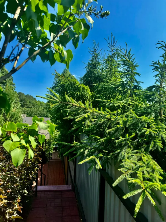 Коттедж Дом с баней на берегу Селигера — Заборки