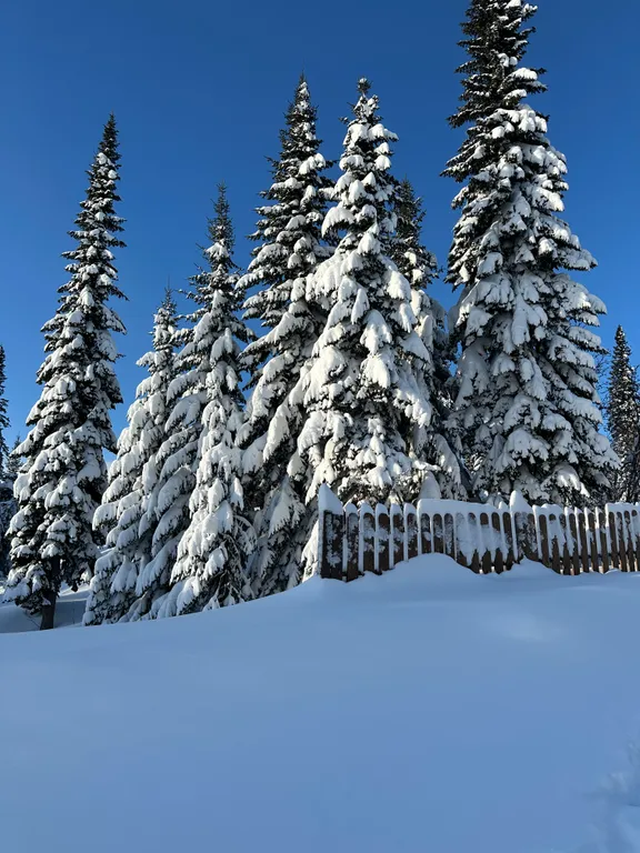 4-комнатный Дом