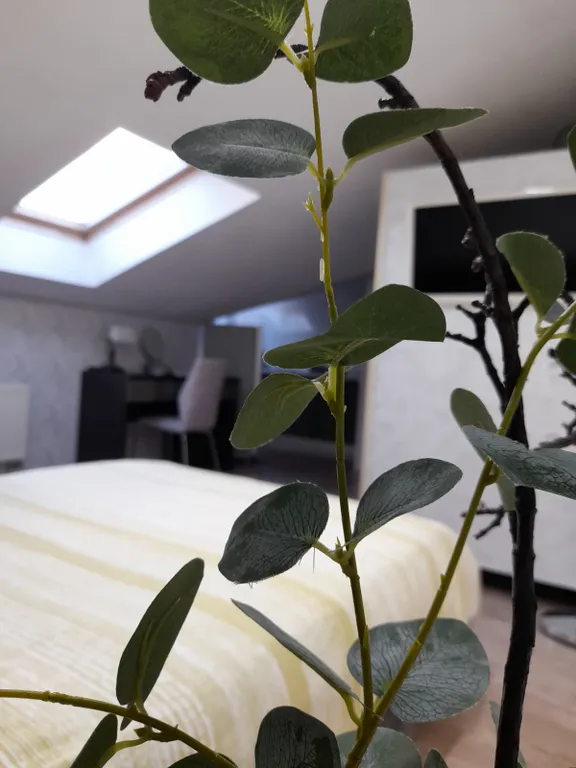 Квартира Квартира Уютная студия в мансарде рядом с Амалиенау — Калининград