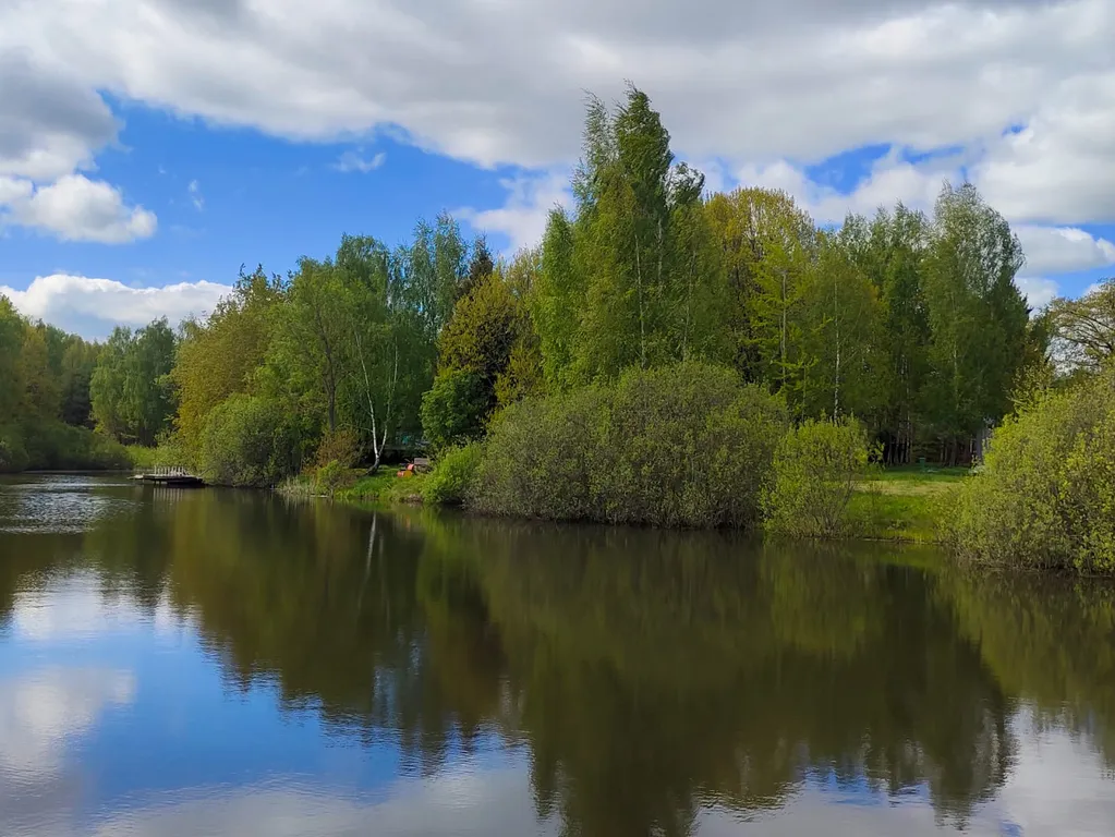 Чудо-дача, дом Акула на берегу пруда