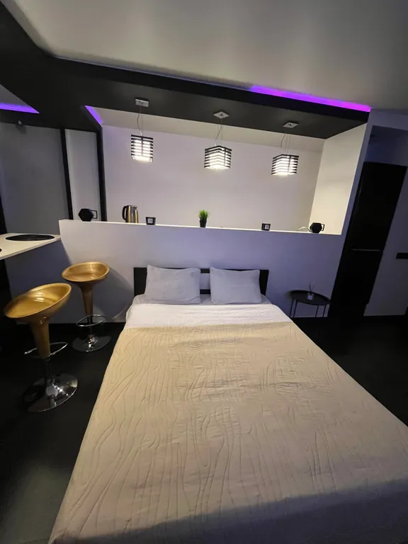 Просторная и яркая студия в Солнечном