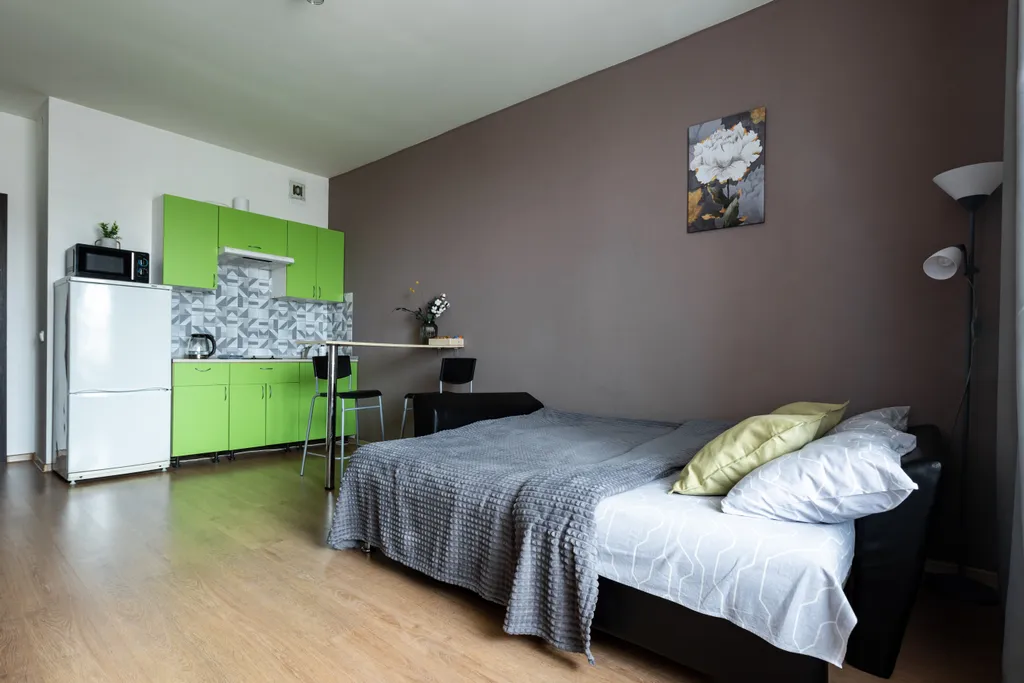 Просторная уютная студия, в пешей доступности метро 7-10 минут пешком