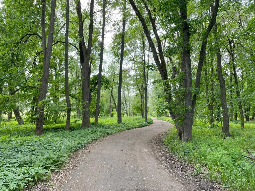 Котильон светская квартира напротив императорского курорта