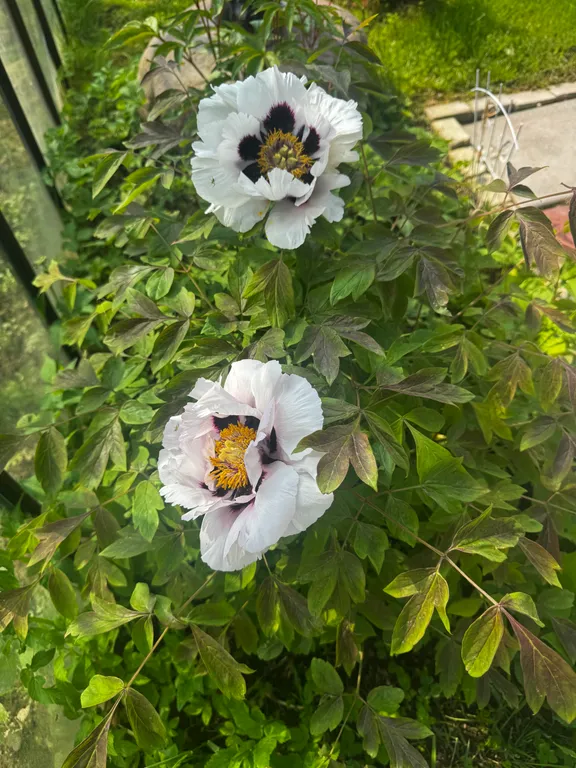 Коттедж Дом для отдыха и релакса — Санкт-Петербург