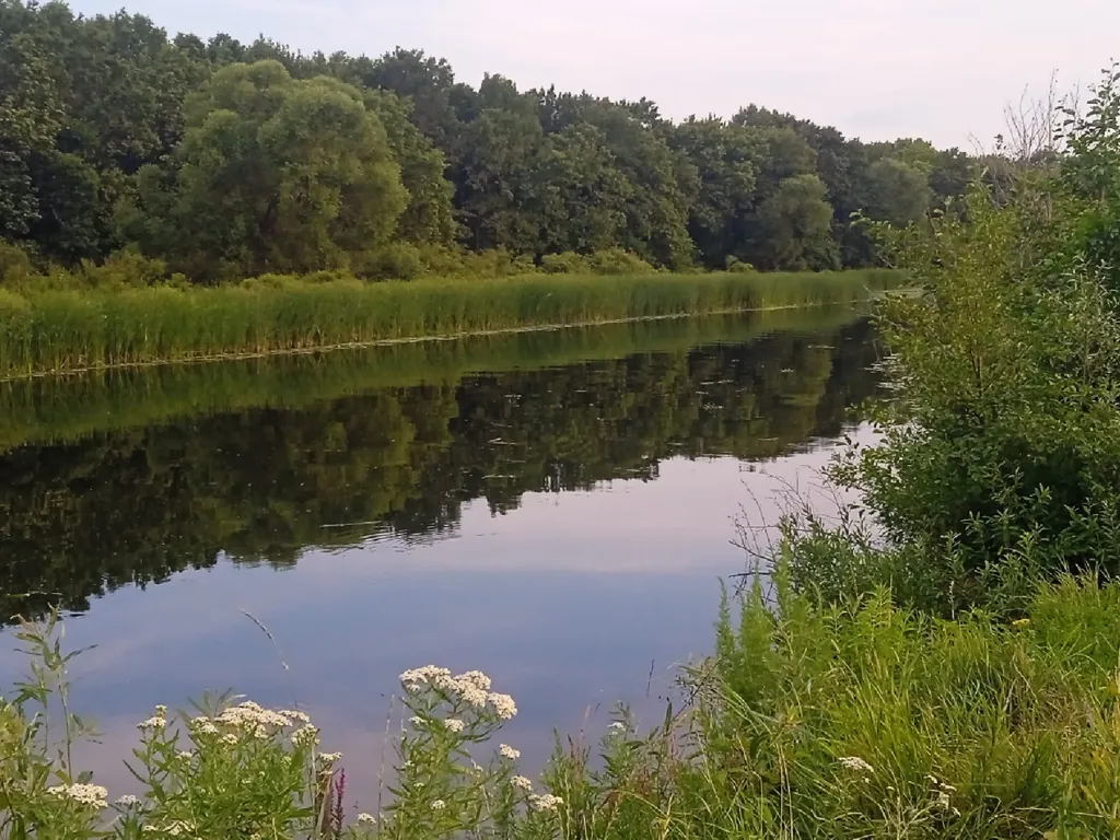 Тихий отдых