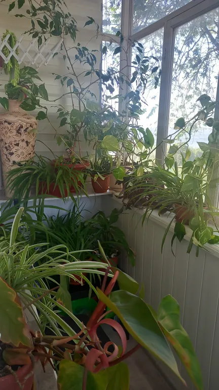 Уютная квартира в тихом районе с видом на Волгу