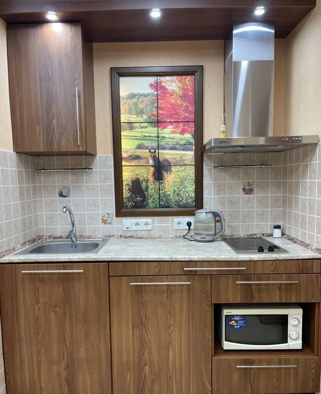 Апартаменты на берегу Бердского залива