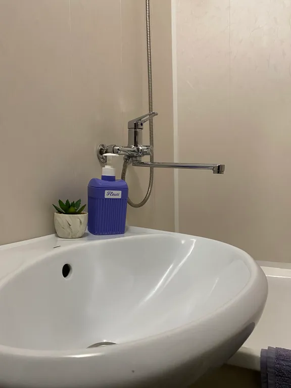 Просторная однокомнатная квартира у леса