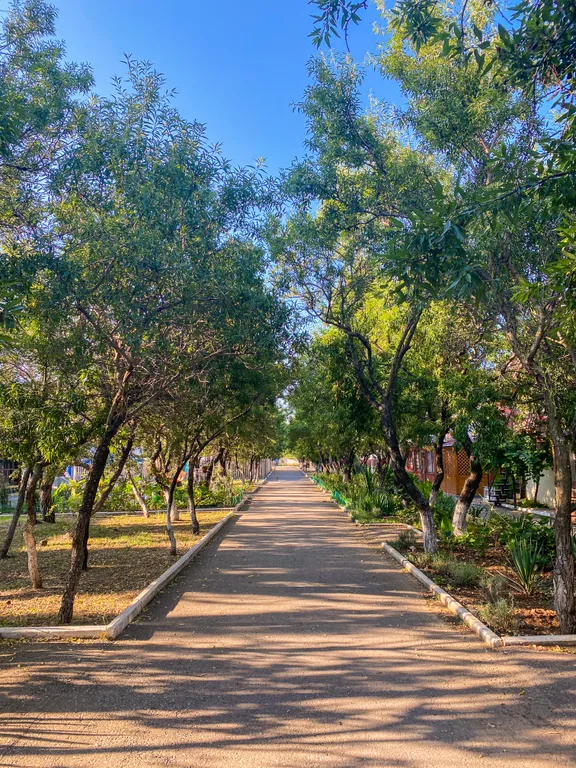 Апартаменты в 3 минутах от моря