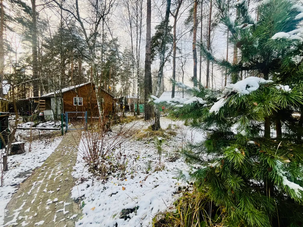 Дом с олененком и гортензиями