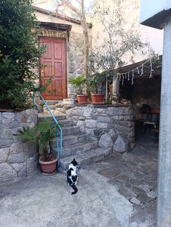 Уютный отдых на море