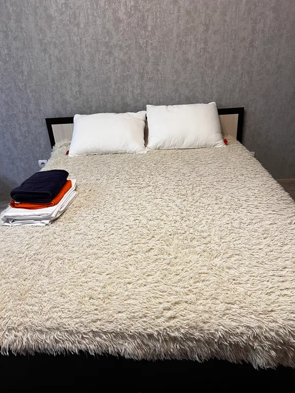 Уютная квартира в центре города со свежим ремонтом