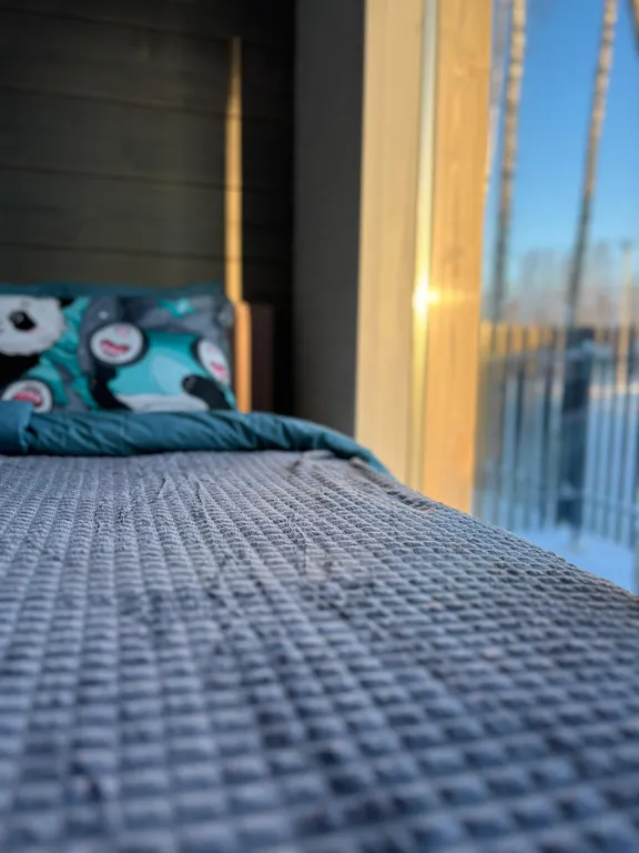 Коттедж Дом с баней у Ладожского озера с теплой купелью — Коккорево