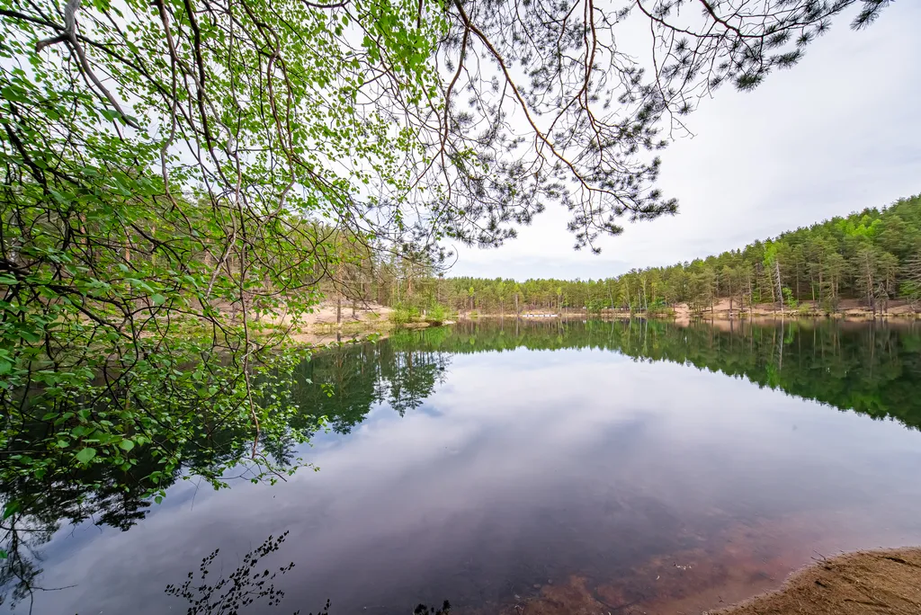 Загородный клуб Радужный лес