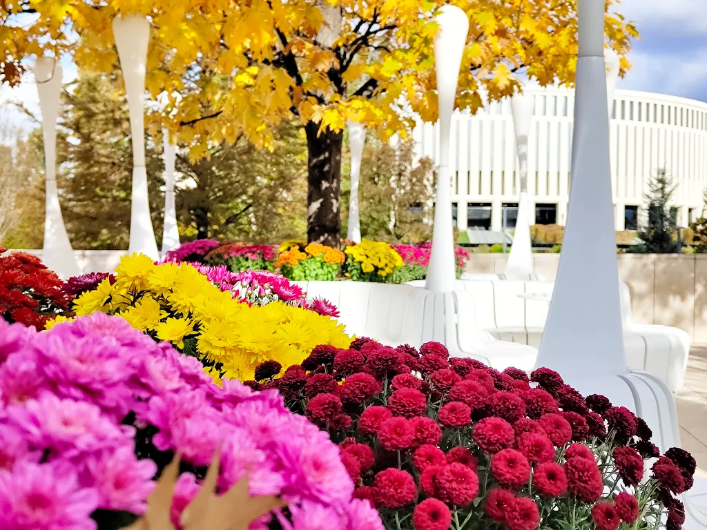 Большая квартира рядом с парком Галицкого с видом на город