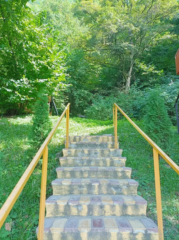 Домик в лесу с собственной баней