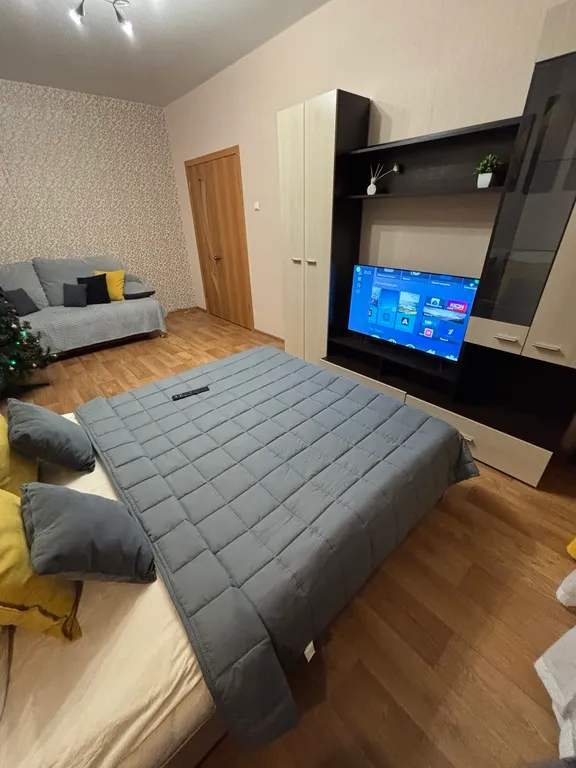 Просторная квартира в центре города