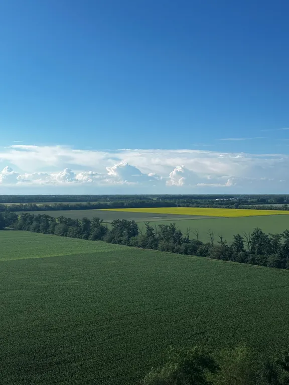 Квартира Шикарная квартира в самом красивом районе Краснодара — Краснодар