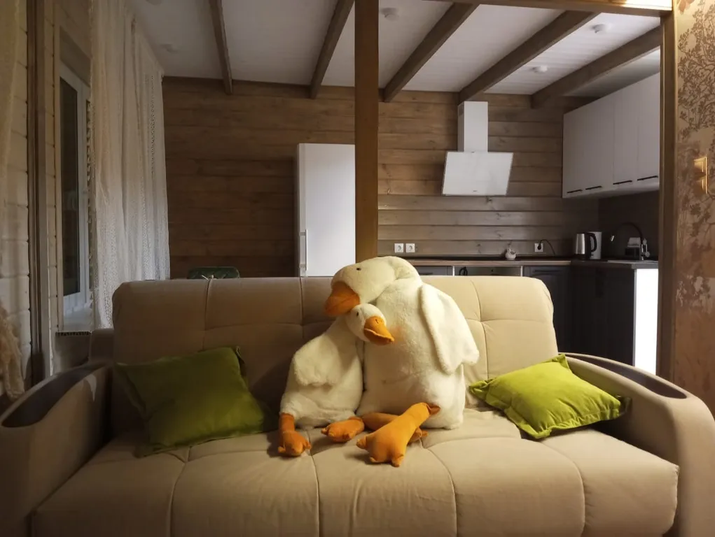 Апартамент рядом с аэропортом