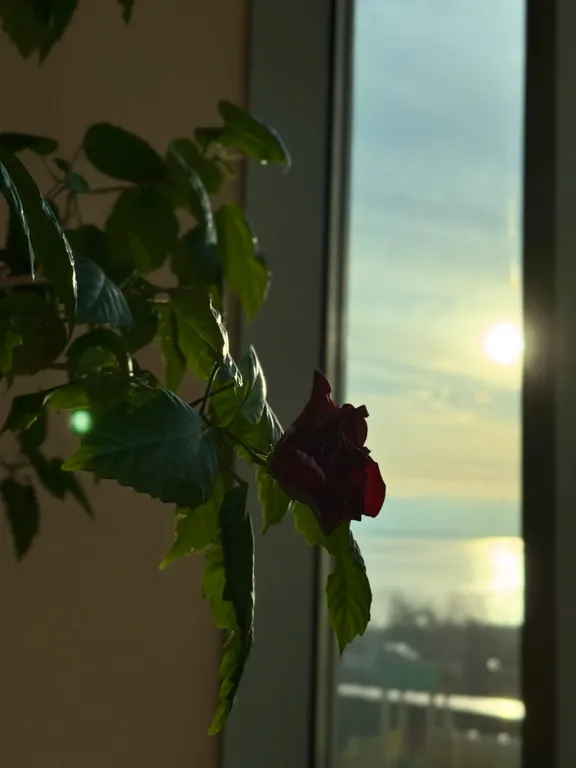 Квартира в элитном ЖК