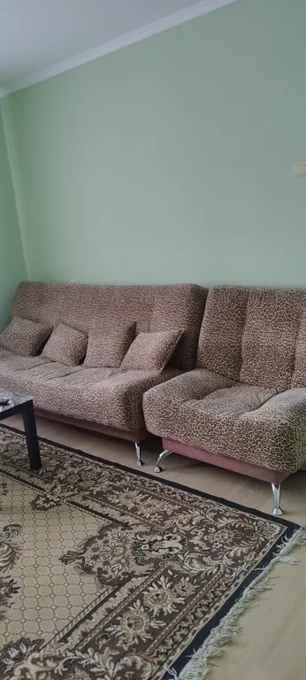 Квартира Вместительные апартаменты — Омск