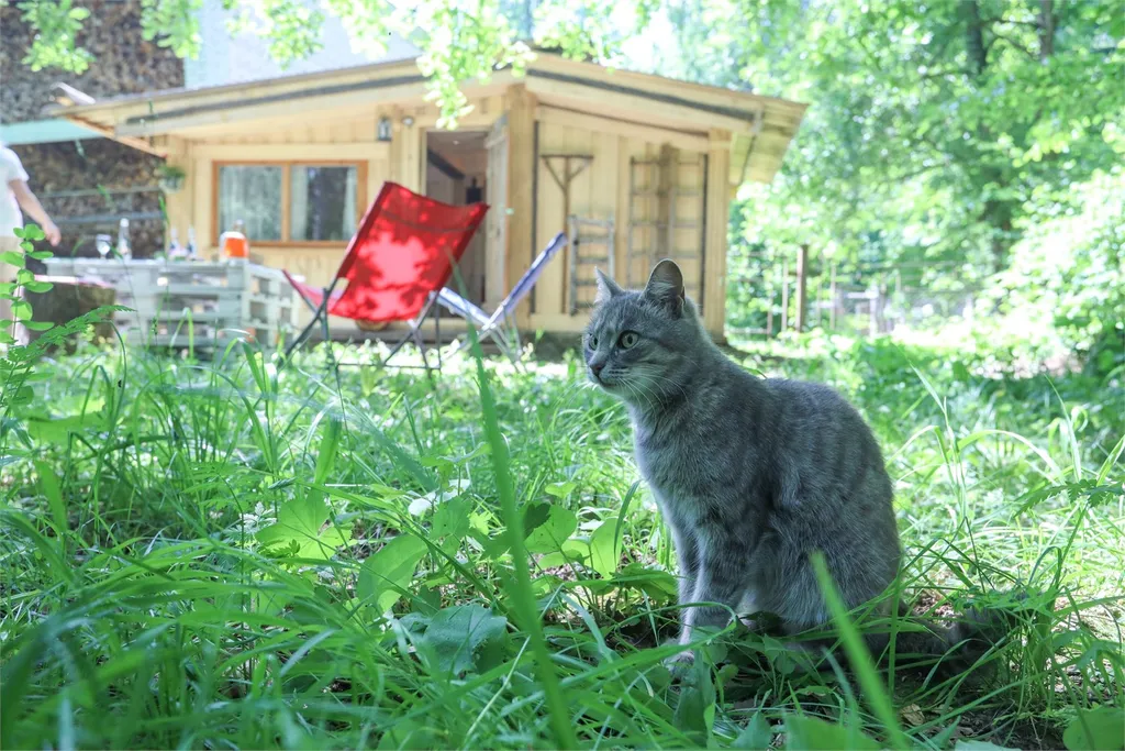 Глэмпинг с печкой-буржуйкой
