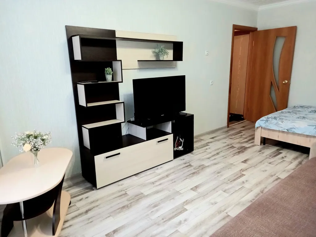 1 комнатная с хорошим ремонтом