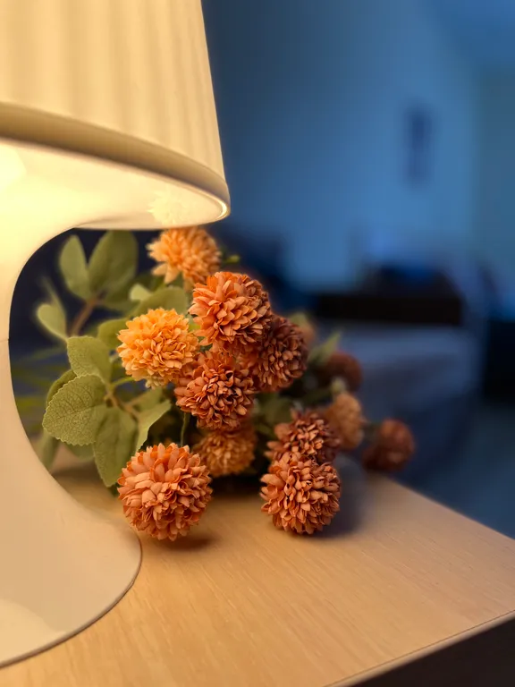 Kate Apartment Уют и Тепло