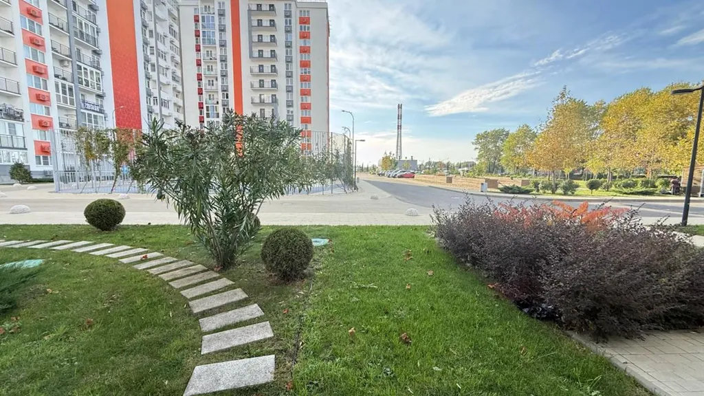 ЖК Фрукты Виноград 1003