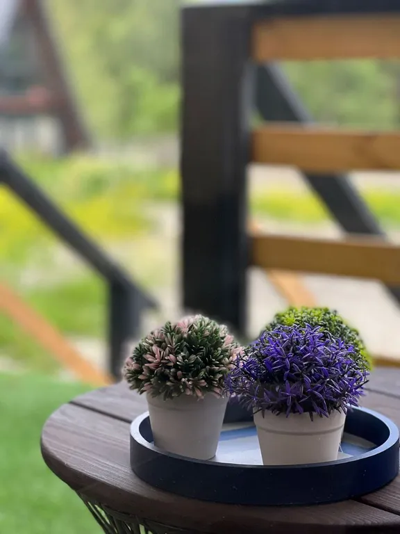 Гостевой дом Sabr с видом на горы