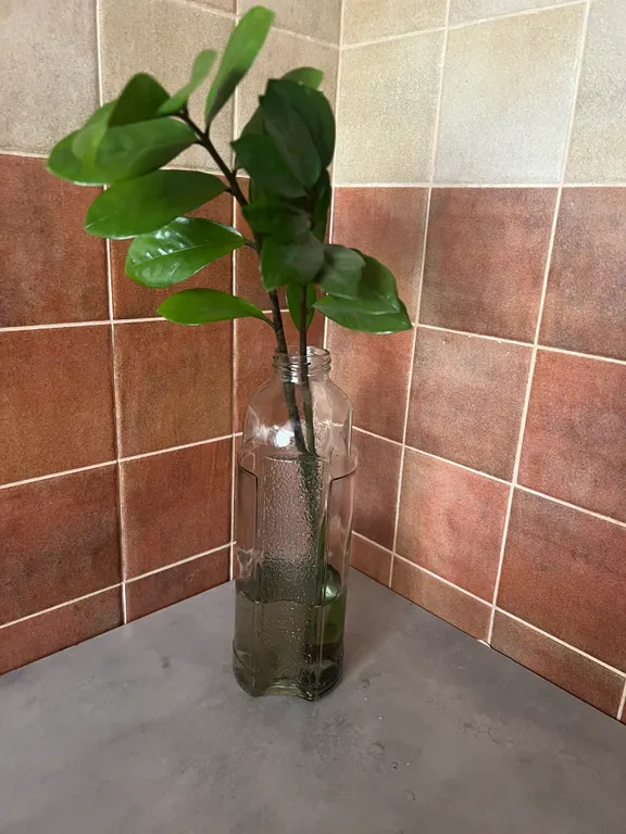 Просторная квартира