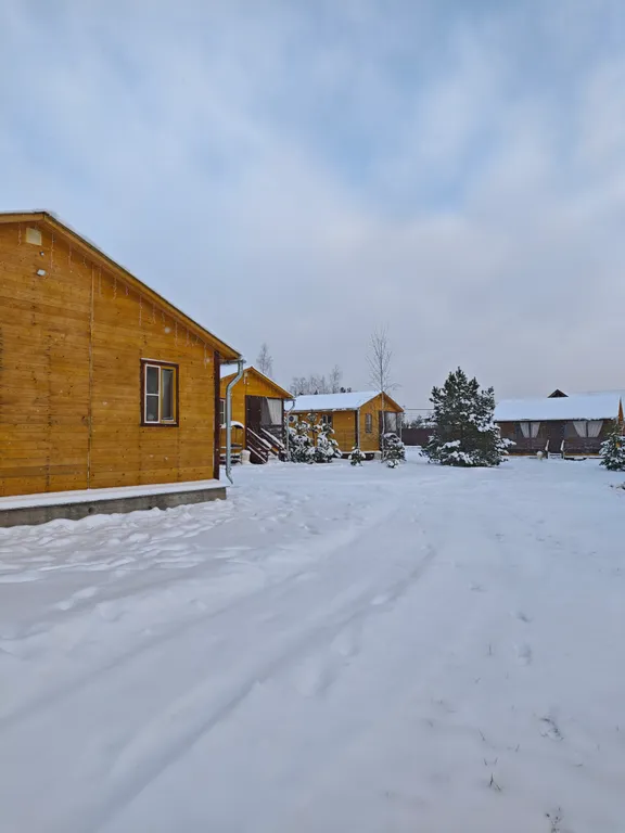 Дом с видом на лес дача рыбака