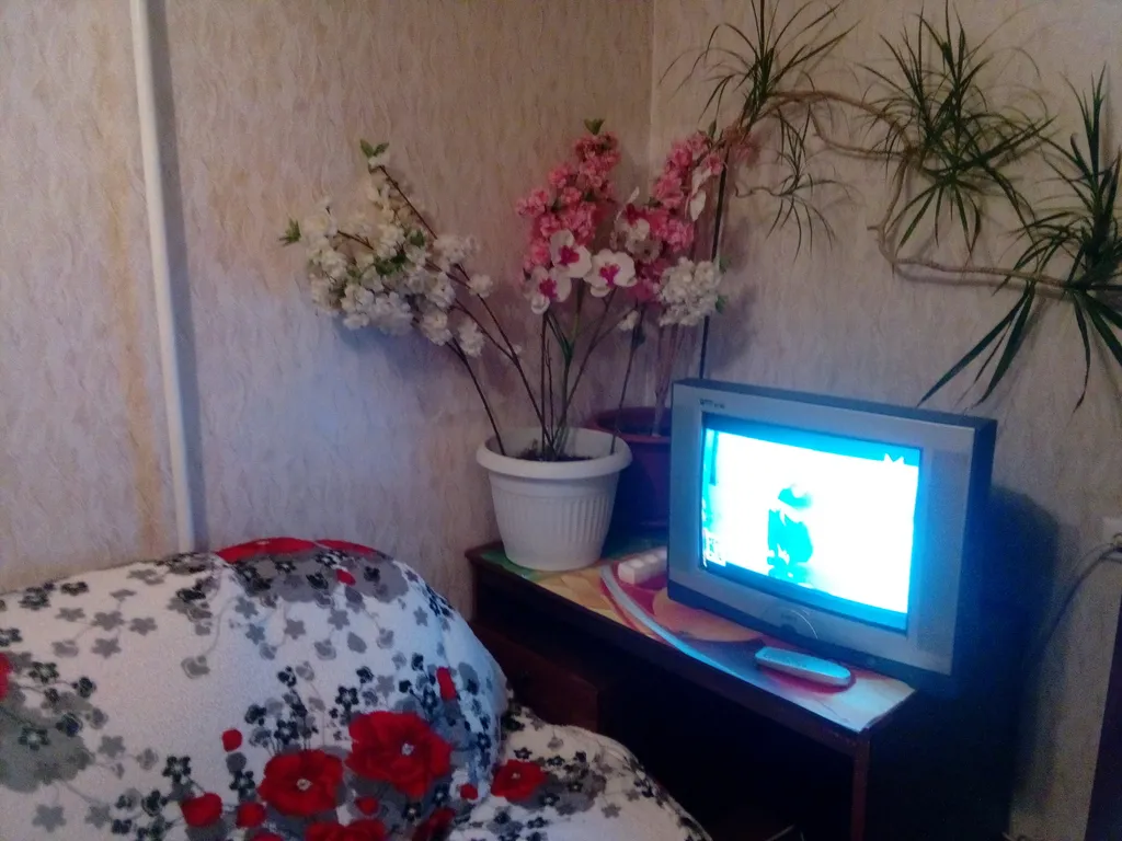 Квартира в районе танка. Б.Спасская и Гагарина.