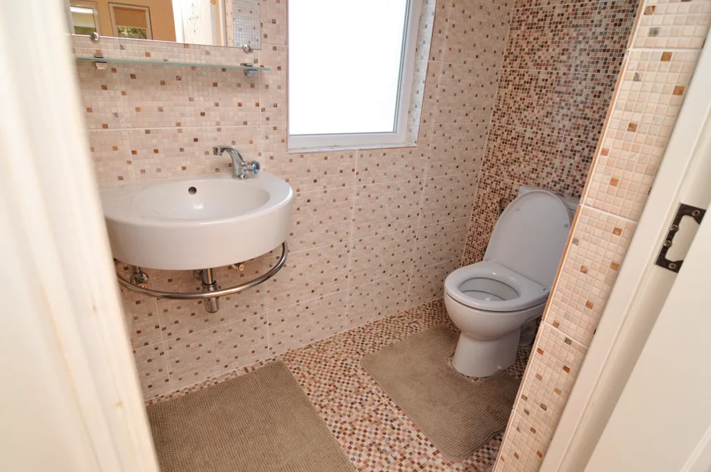 Кактус у Моря