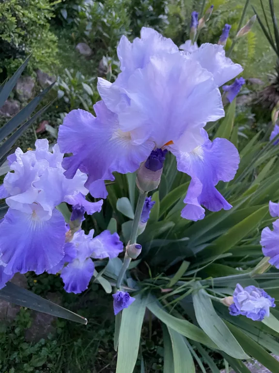 Дом среди гор