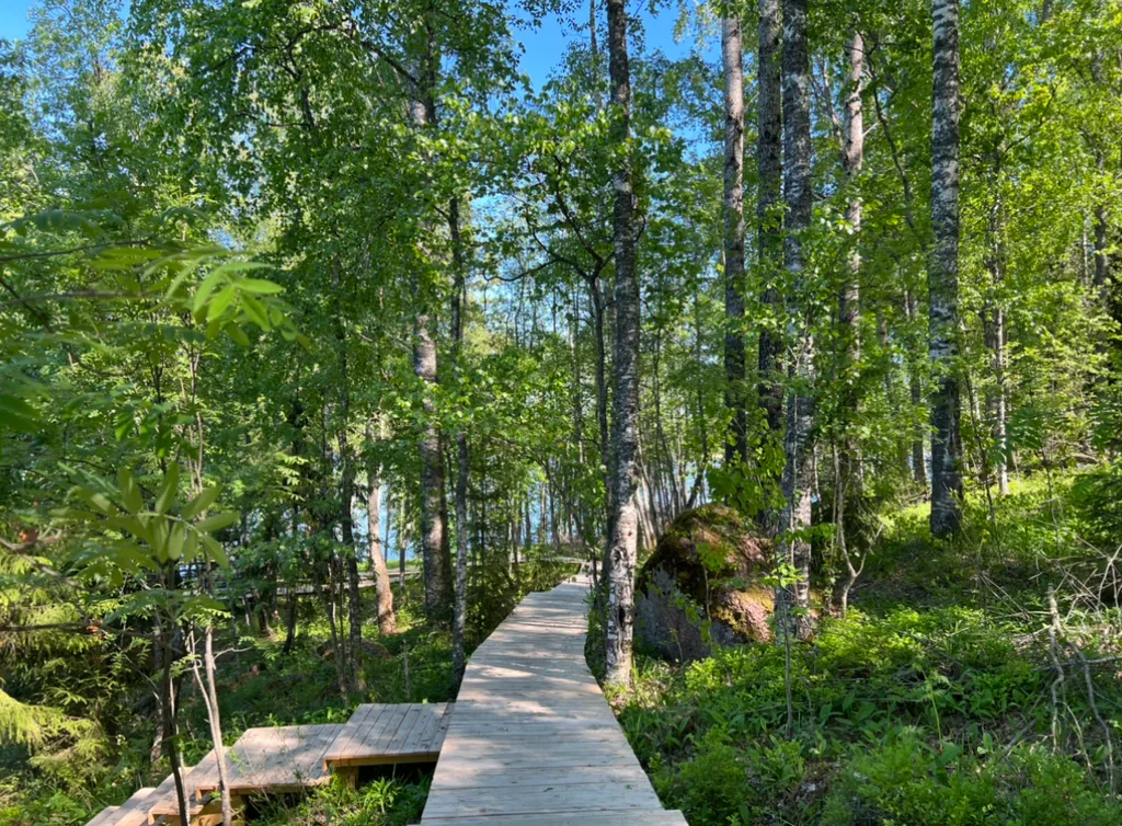 Коттедж Коттедж с видом на озеро — Глубокое (Каменногорское г/п)