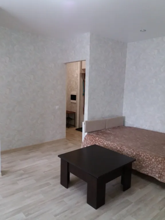 2-комнатная квартира с евроремонтом в центре Чебаркуля — аренда посуточно в Чебаркуль