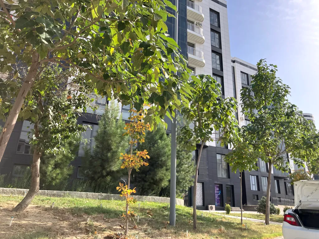 Valentino apartments - большая, светлая и уютная квартира