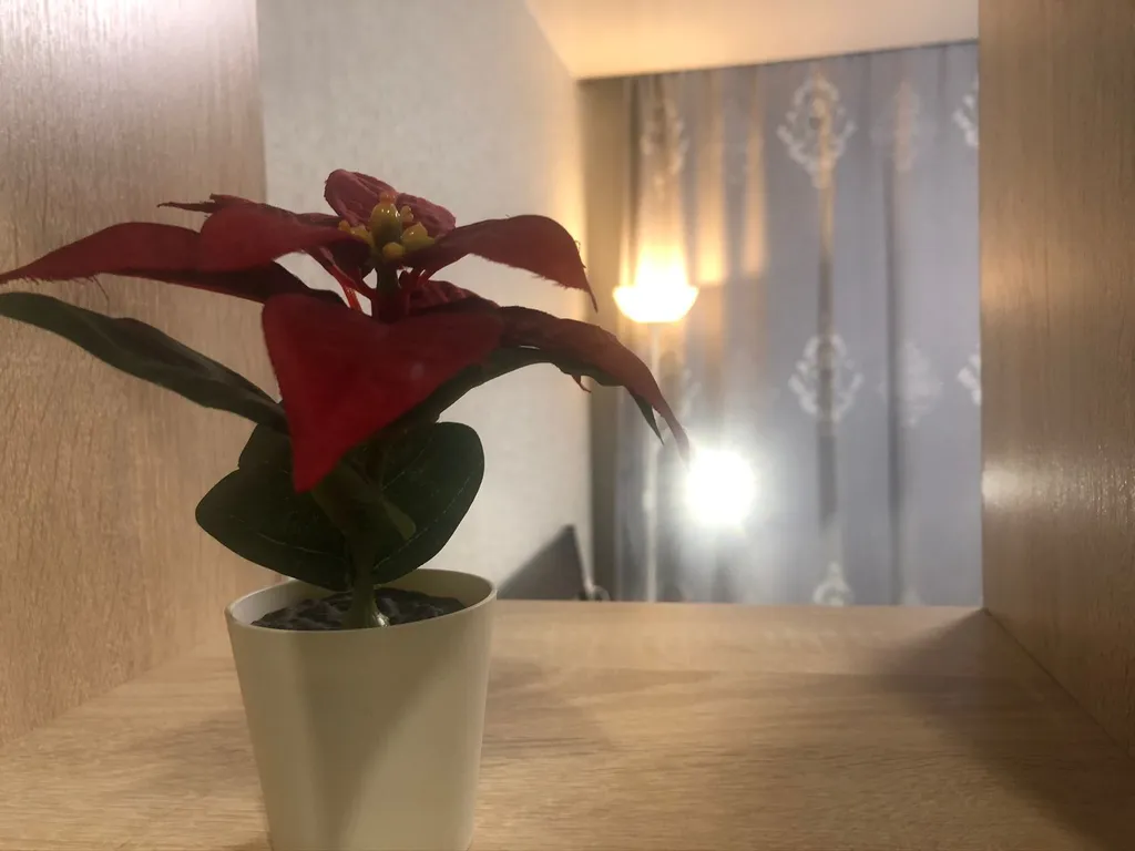 Квартира Квартира в самом сердце города — Иркутск