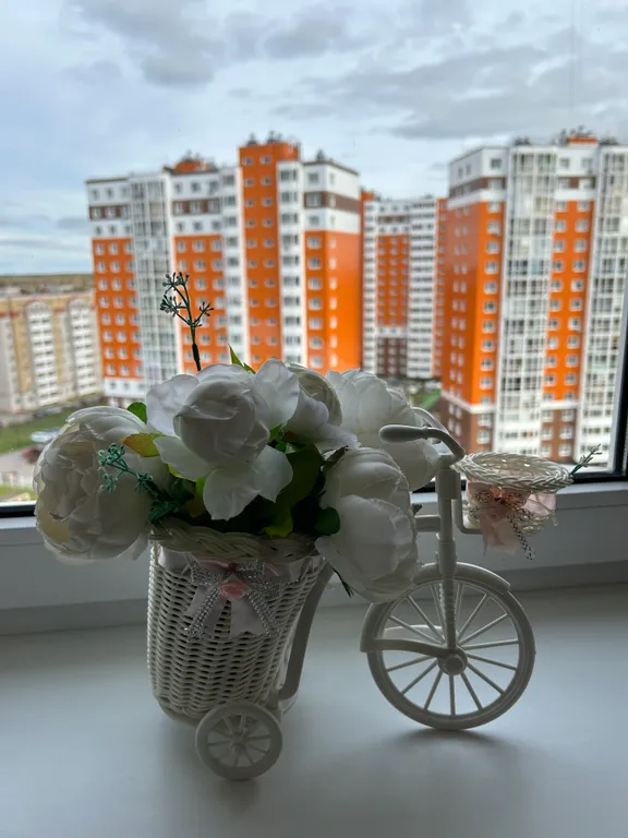 Уютная квартира рядом с сосновой рощей