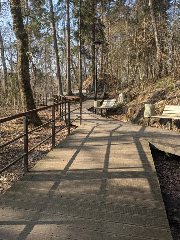 Апартамент с видом на лес