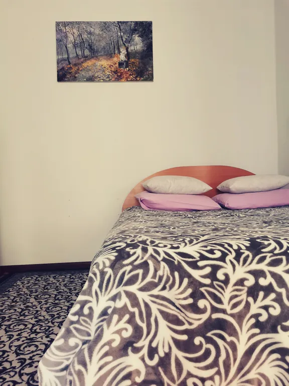 Квартира Просторная квартира в самом центре — Красноярск