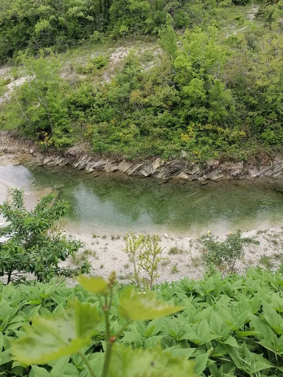 Коттедж Бунгало с видом на лес — Кабардинка