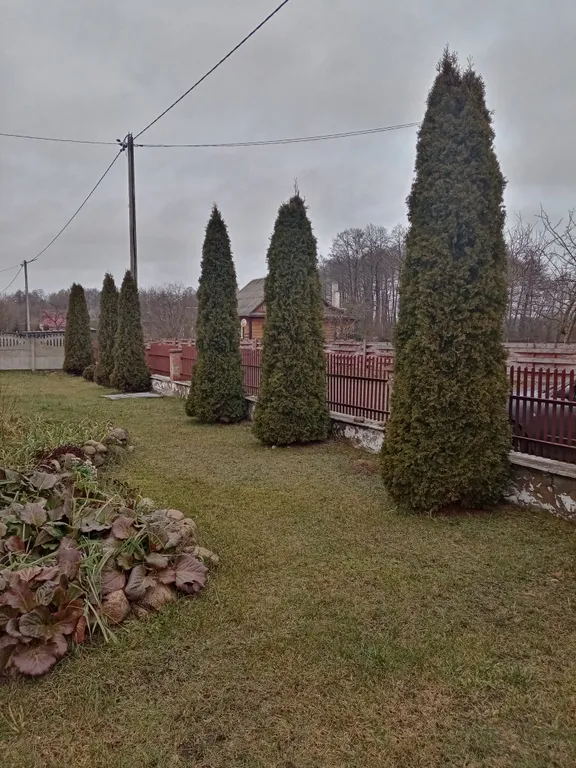 Усадьба в Беловежской пуще Пилигрим