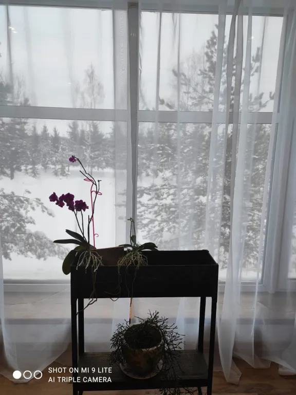 Дом на берегу сказочного озера