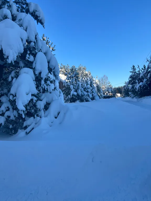 Дом синь-камень